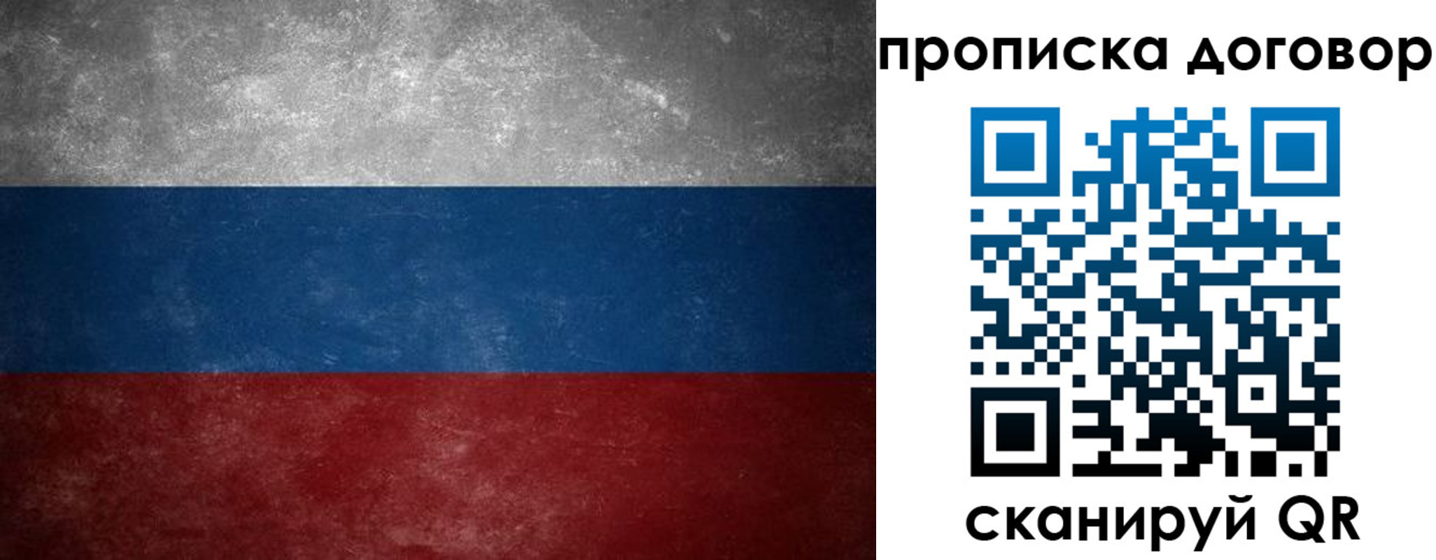 прописка 2025 в Оленегорске